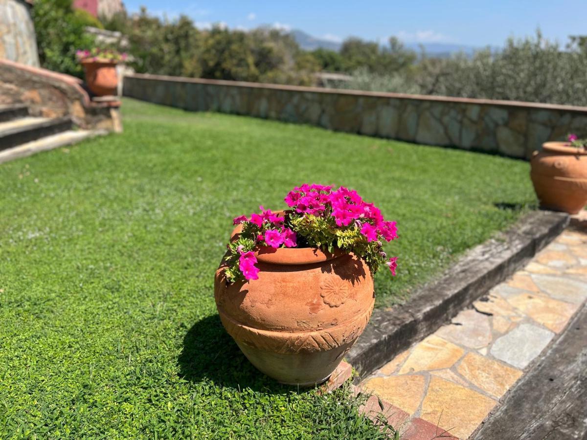Masia Can Viver - Olive Oil Tourism B&B Bigues I Riells エクステリア 写真
