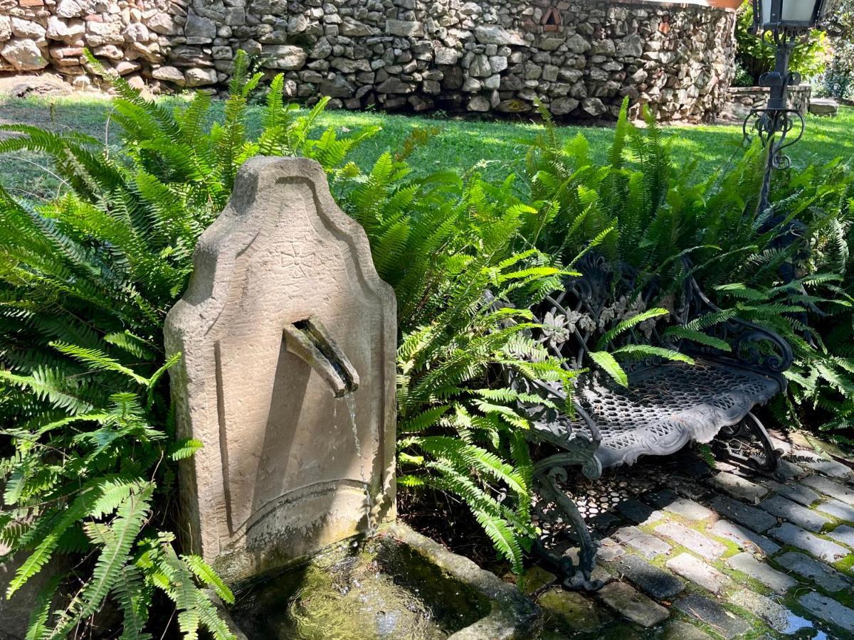 Masia Can Viver - Olive Oil Tourism B&B Bigues I Riells エクステリア 写真