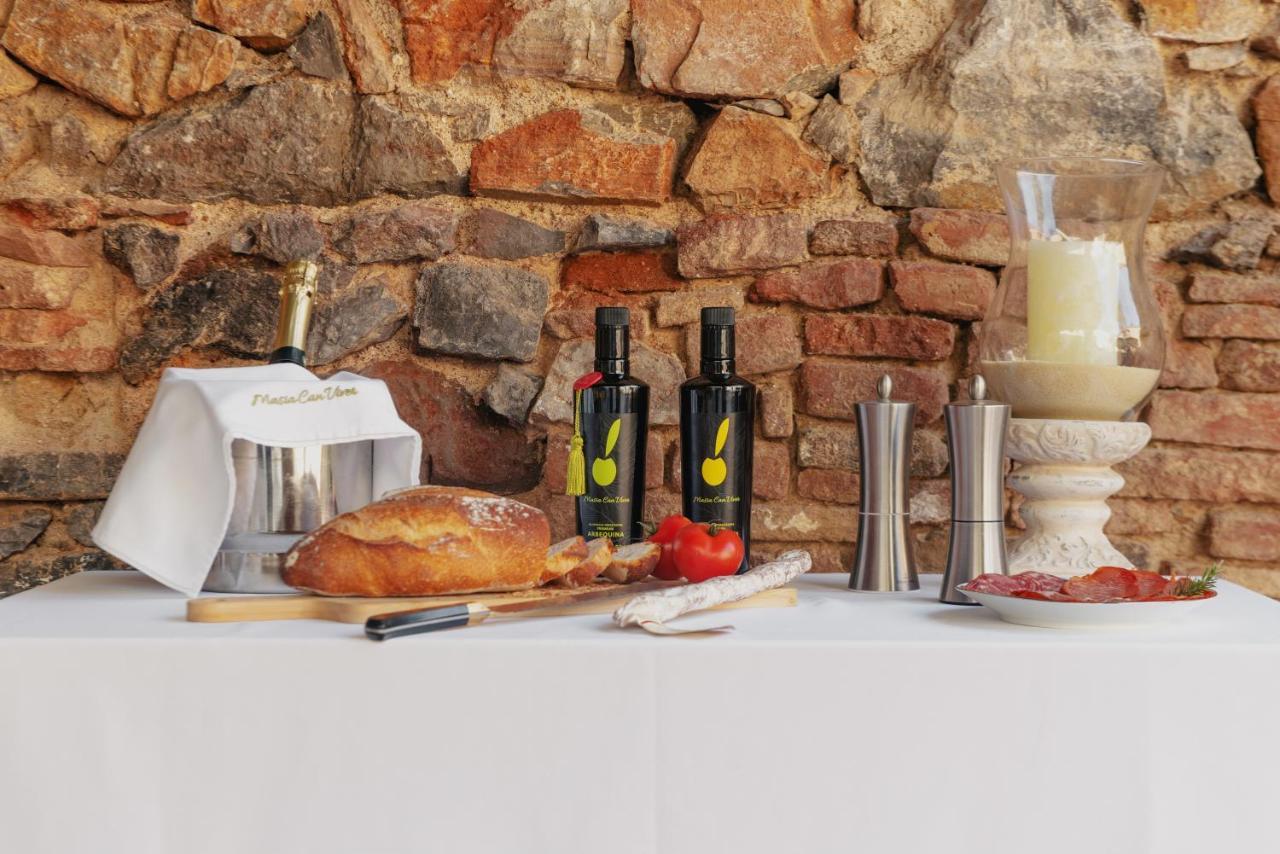 Masia Can Viver - Olive Oil Tourism B&B Bigues I Riells エクステリア 写真