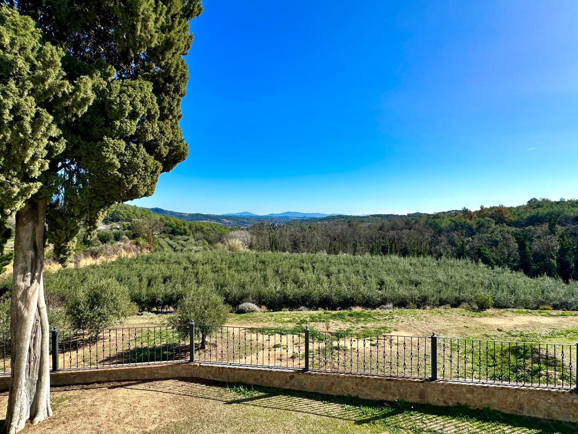 Masia Can Viver - Olive Oil Tourism B&B Bigues I Riells エクステリア 写真