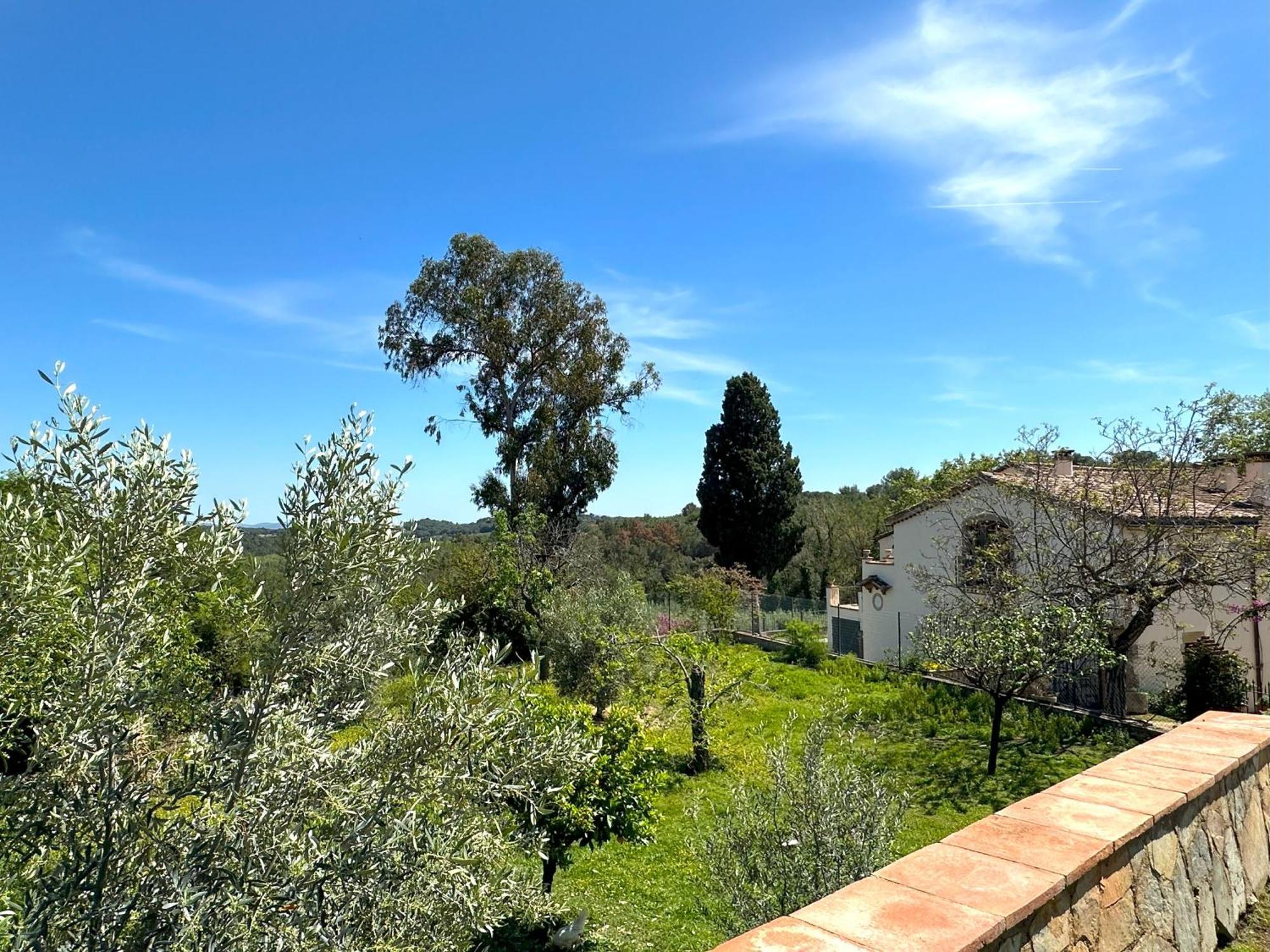 Masia Can Viver - Olive Oil Tourism B&B Bigues I Riells エクステリア 写真